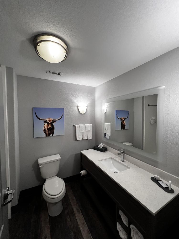 La Quinta Inn & Suites by Wyndham Big Spring photo 39