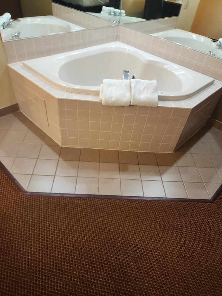Comfort Inn & Suites Madison - Airport photo 3