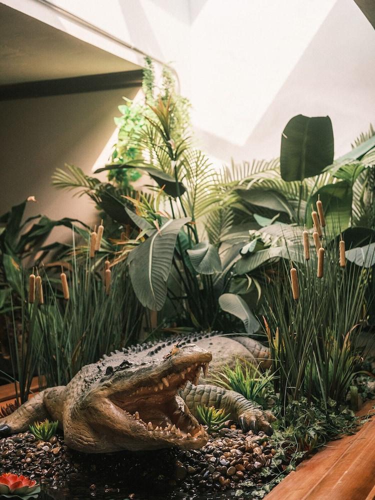 Hotel Crocodile & Crocodile Music Venue photo 3