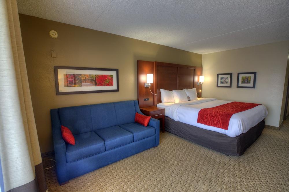 Comfort Inn & Suites Rochelle - DeKalb photo 58