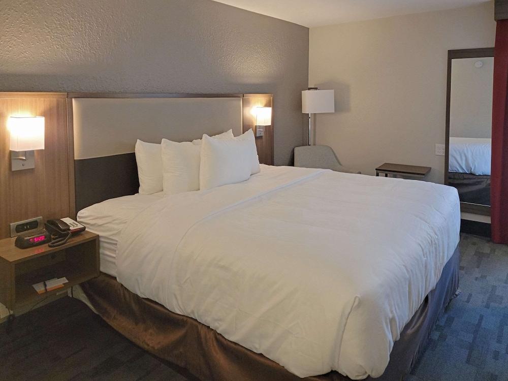 Comfort Inn & Suites Wyomissing/Reading photo 61