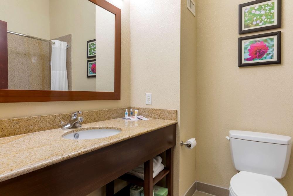 Comfort Suites Copperas Cove photo 33