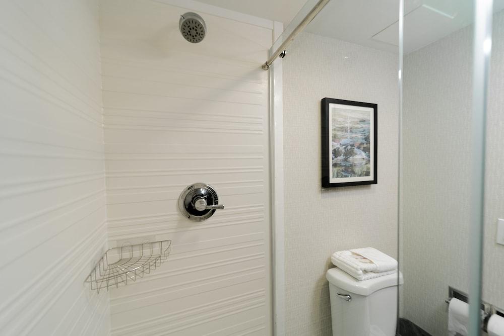 Comfort Inn & Suites Wyomissing/Reading photo 75