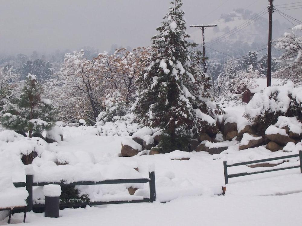 Barewood Inn and Suites photo 15
