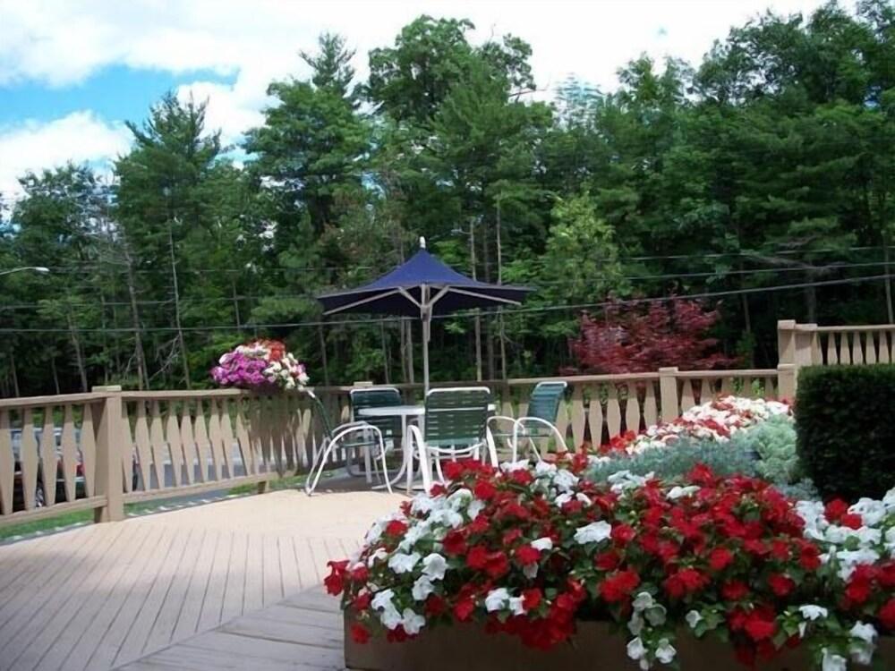 Tall Pines Motel photo 42