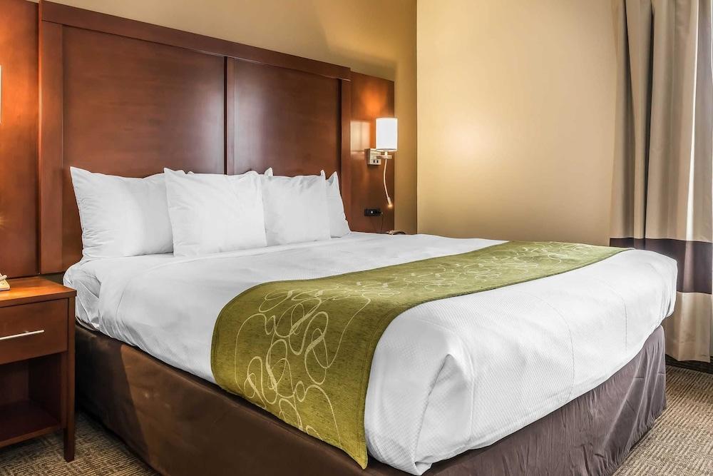 Comfort Suites Springfield I-70 photo 17