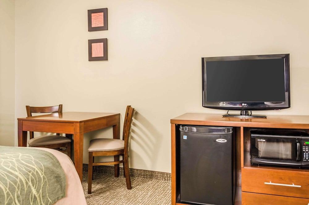 Comfort Inn Idaho Falls photo 9
