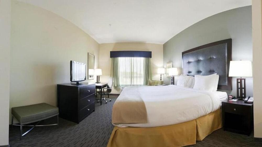 Holiday Inn Express Hotel & Suites Waycross by IHG photo 11