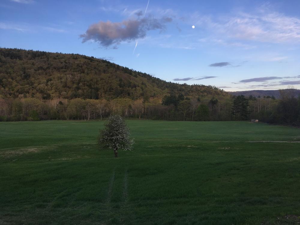 The Lodge at West River photo 22