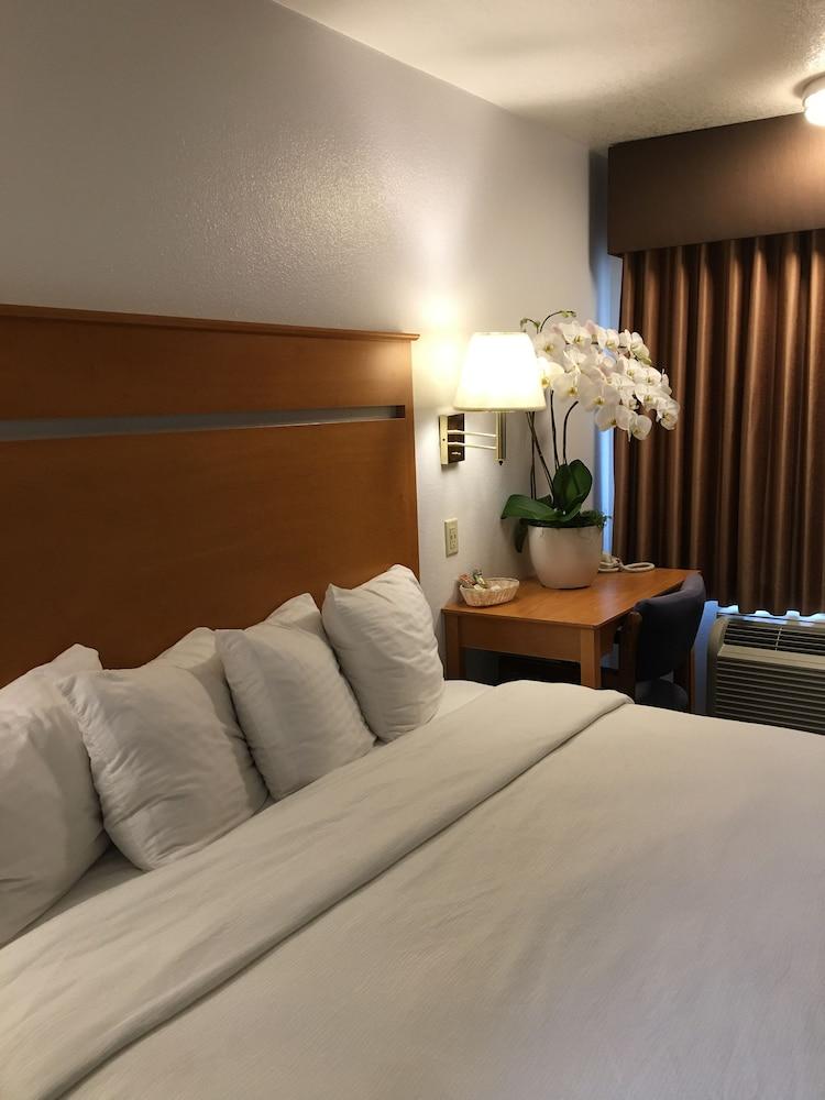 Oceanview Motel - Huntington Beach photo 33