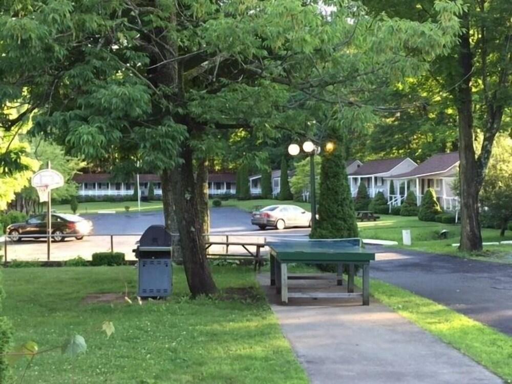 Adirondack Oasis Motel photo 48