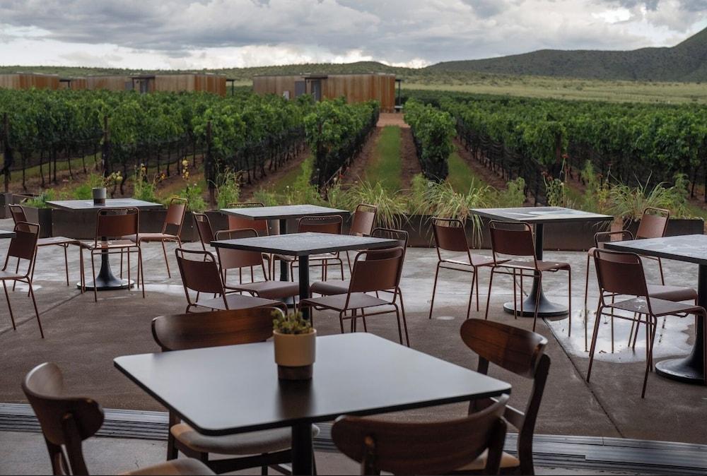 Casitas at Los Milics Vineyards photo 4