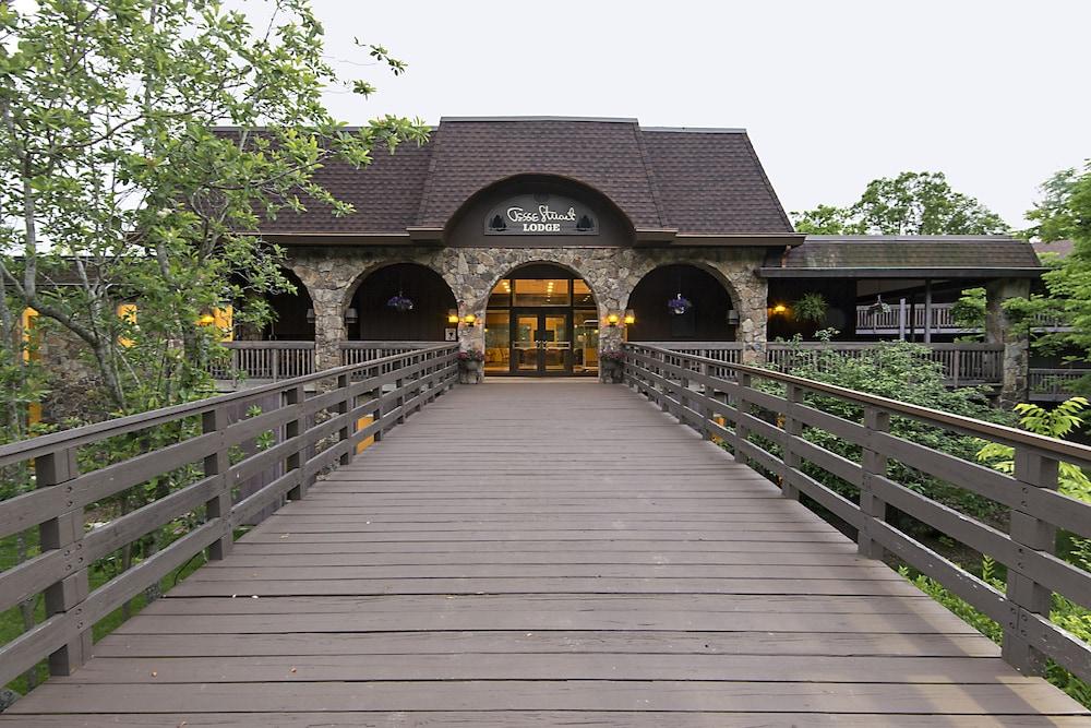 Greenbo Lake State Resort Park photo 1