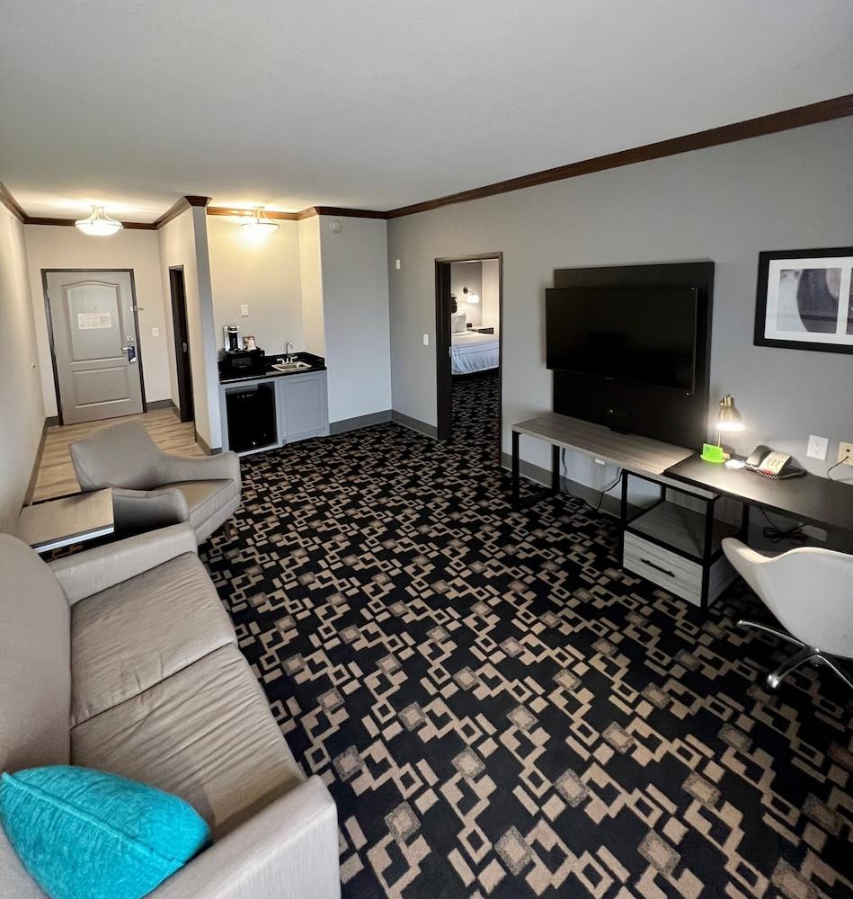 La Quinta Inn & Suites by Wyndham Big Spring photo 30