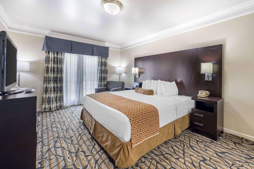 Best Western Spring Hill Inn & Suites photo 4