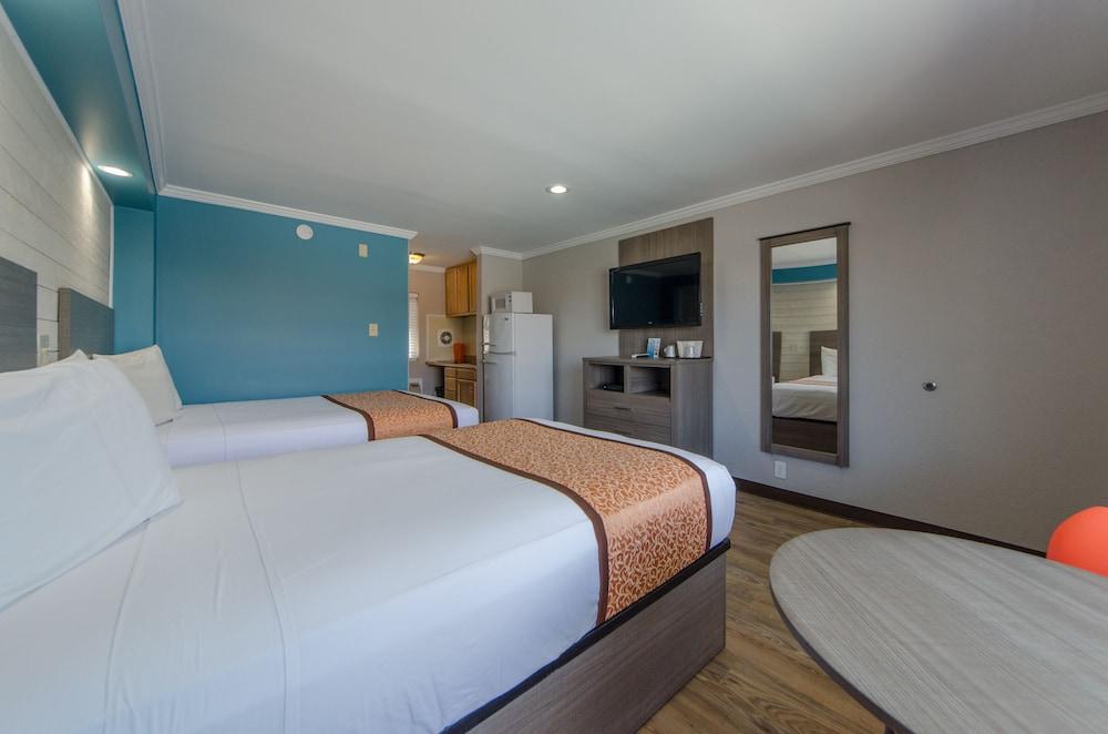Dolphin Inn photo 11