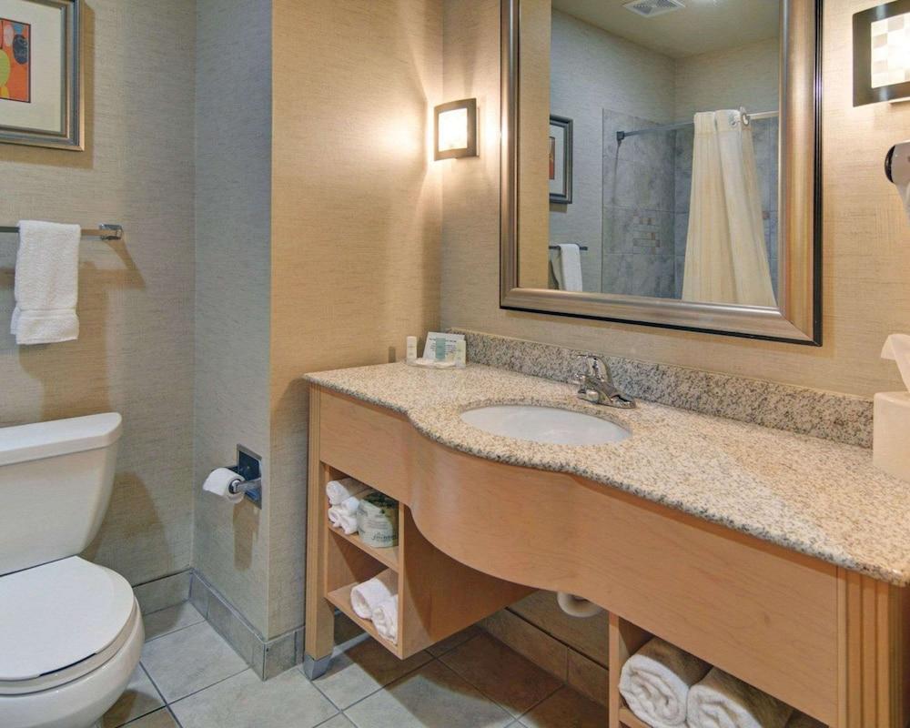 Comfort Suites Lindale - Tyler North photo 3