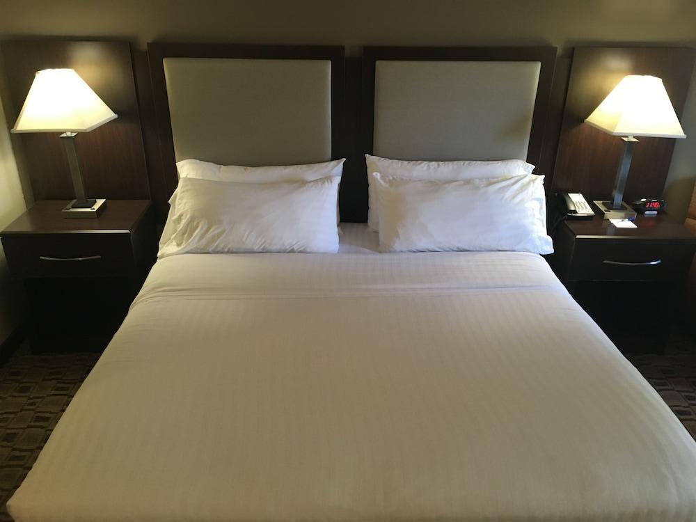 Holiday Inn Express & Suites Albermarle by IHG photo 3