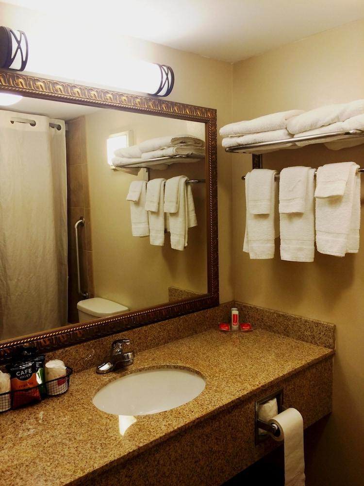 Econo Lodge Darien Lakes photo 31