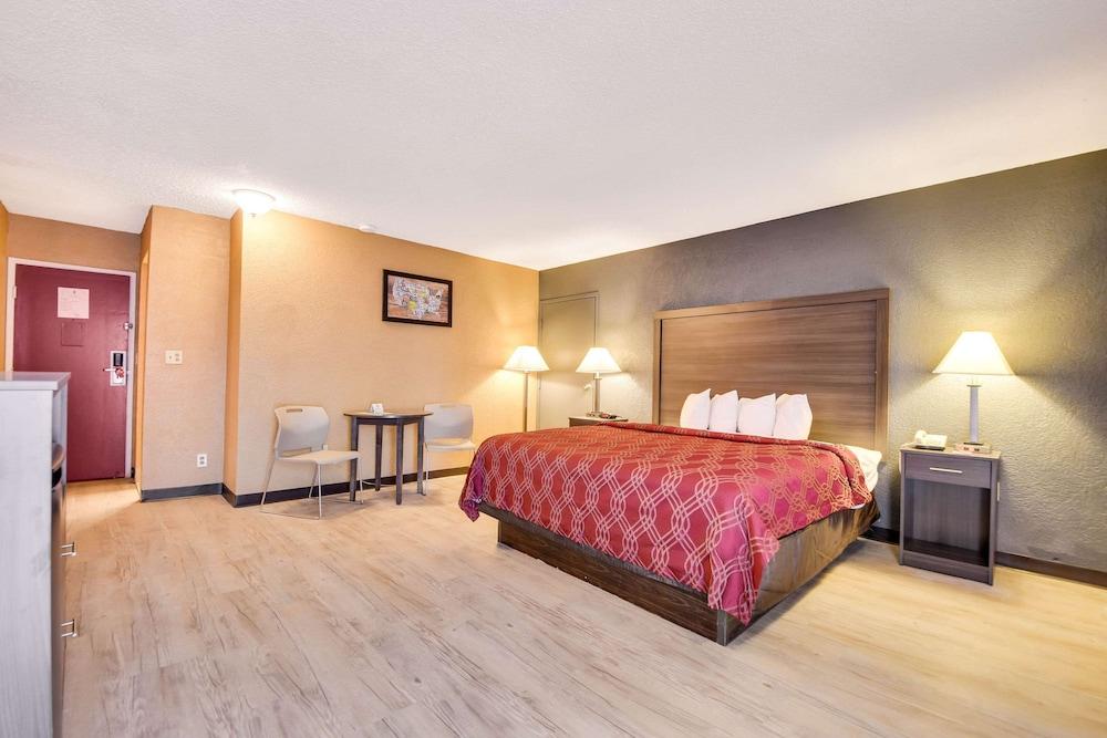 Econo Lodge Tampa near Busch Gardens photo 48