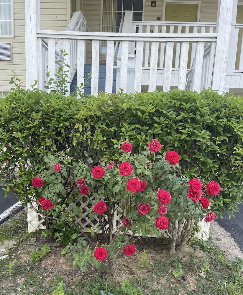 Wadley Inn photo 11