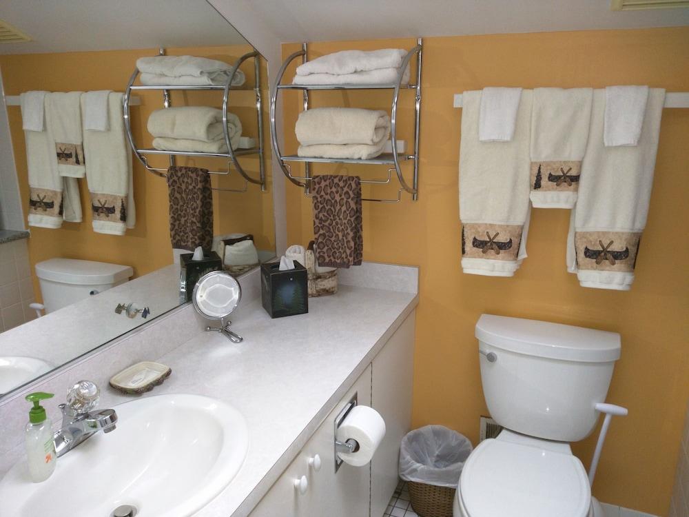 Ann Arbor B&B Inn photo 49