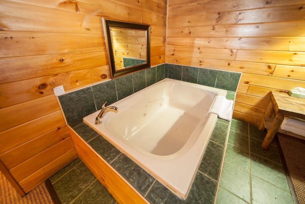 Log Cabin Lodge & Suites photo 18