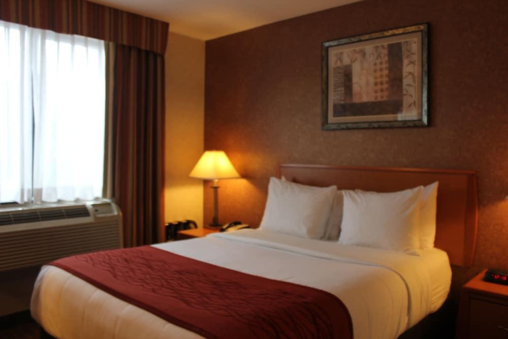 Bellerose Inn photo 9