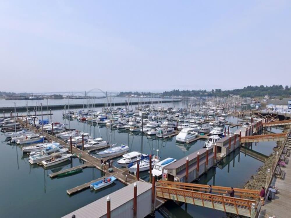 Embarcadero Resort Hotel & Marina photo 3