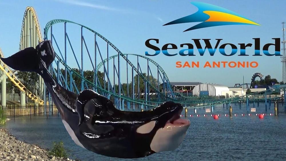 Econo Inn Lackland AFB Seaworld photo 24