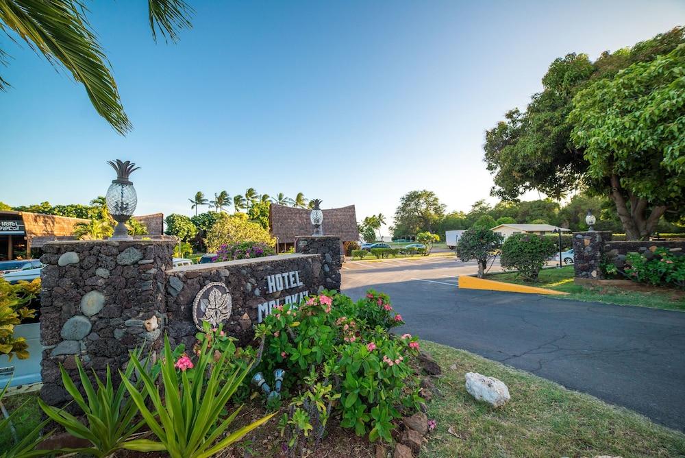 Hotel Moloka'i photo 82