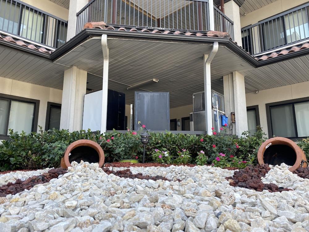 Island Suites photo 56
