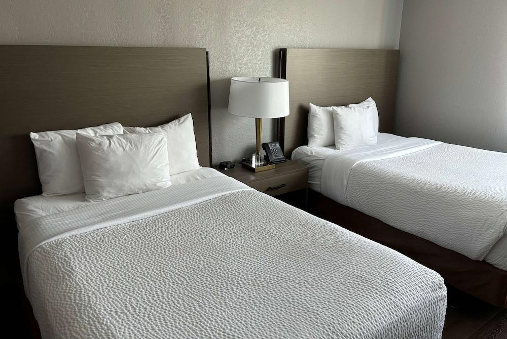 La Quinta Inn & Suites by Wyndham Ft Lauderdale Cypress Cr photo 9