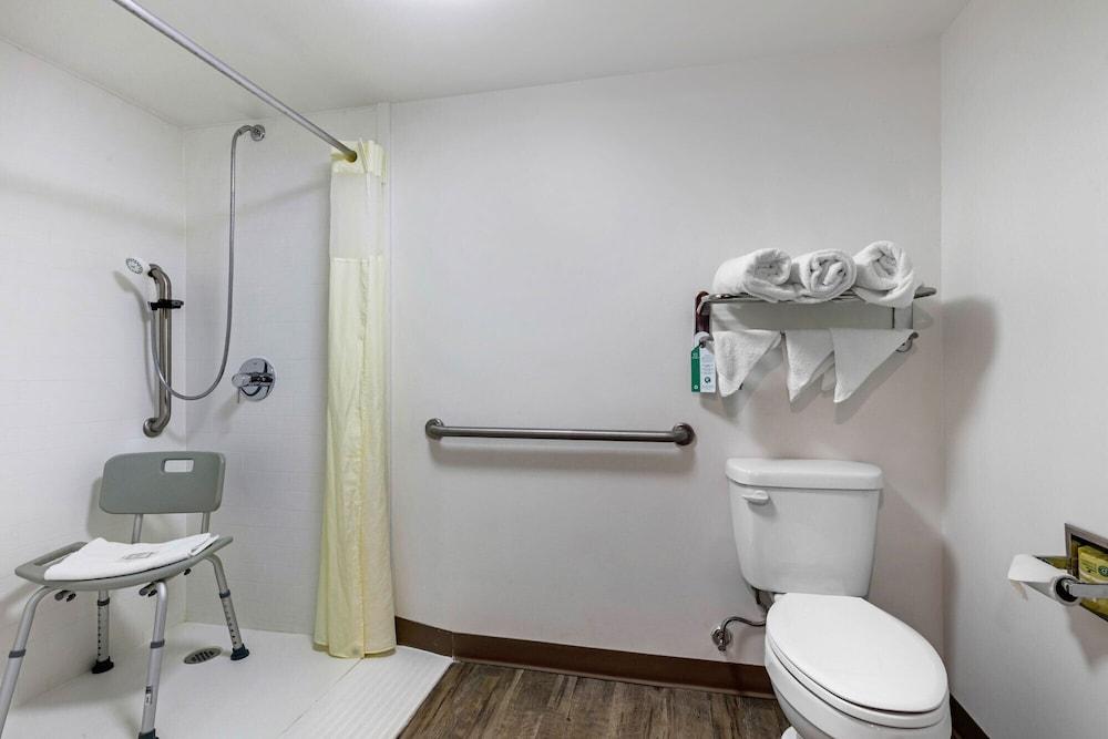 VetteCity Hotel photo 4