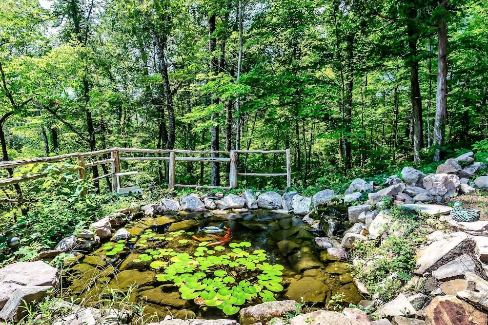 Laurel Valley Mountain Retreat photo 47