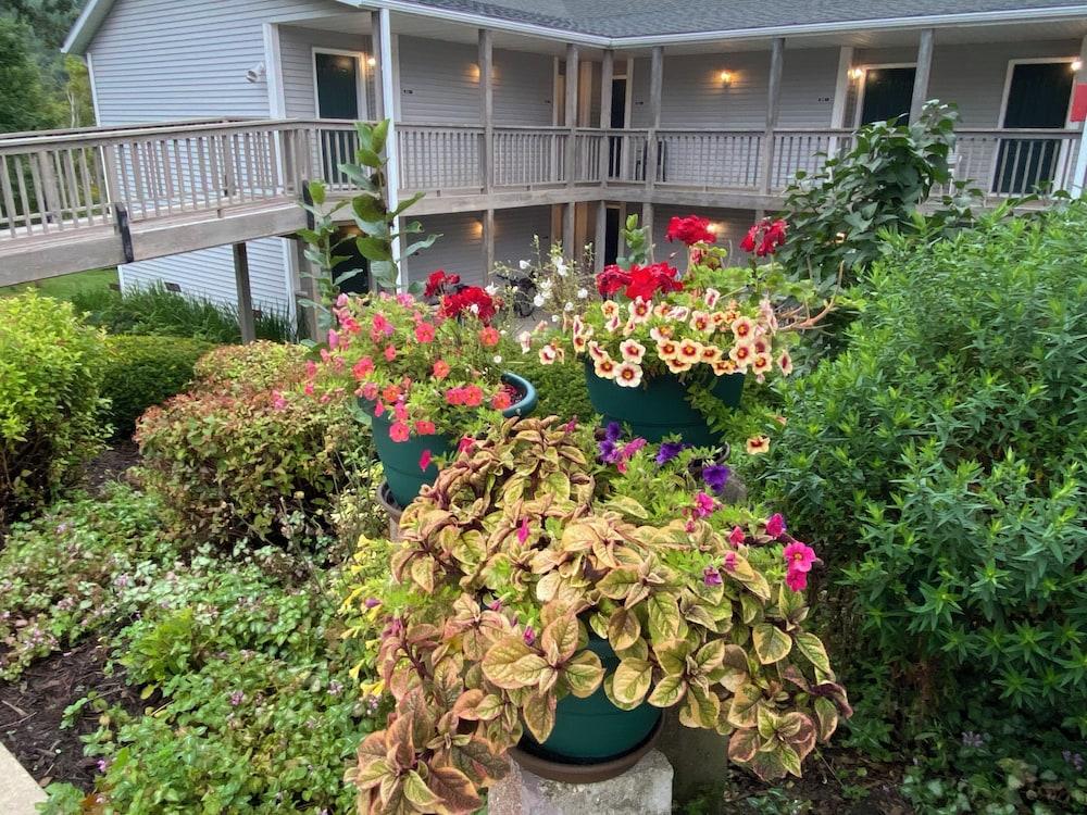 Green Gables Inn photo 38