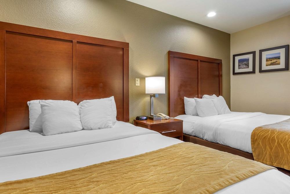 Comfort Inn Flagstaff South I-17 photo 15