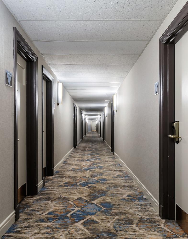 Hotel Versey Chicago Lincoln Park photo 41