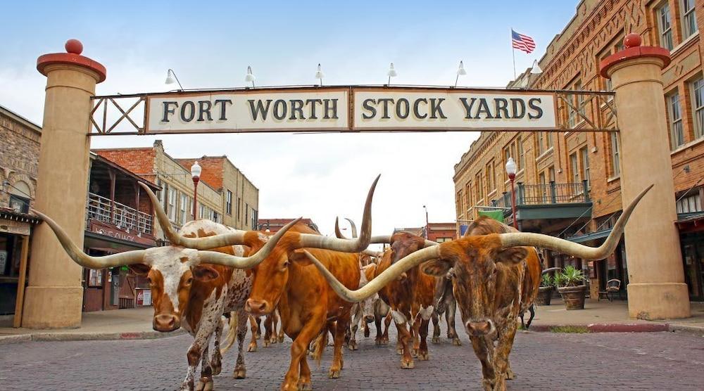 Studio 6 Fort Worth, TX – Downtown East photo 14