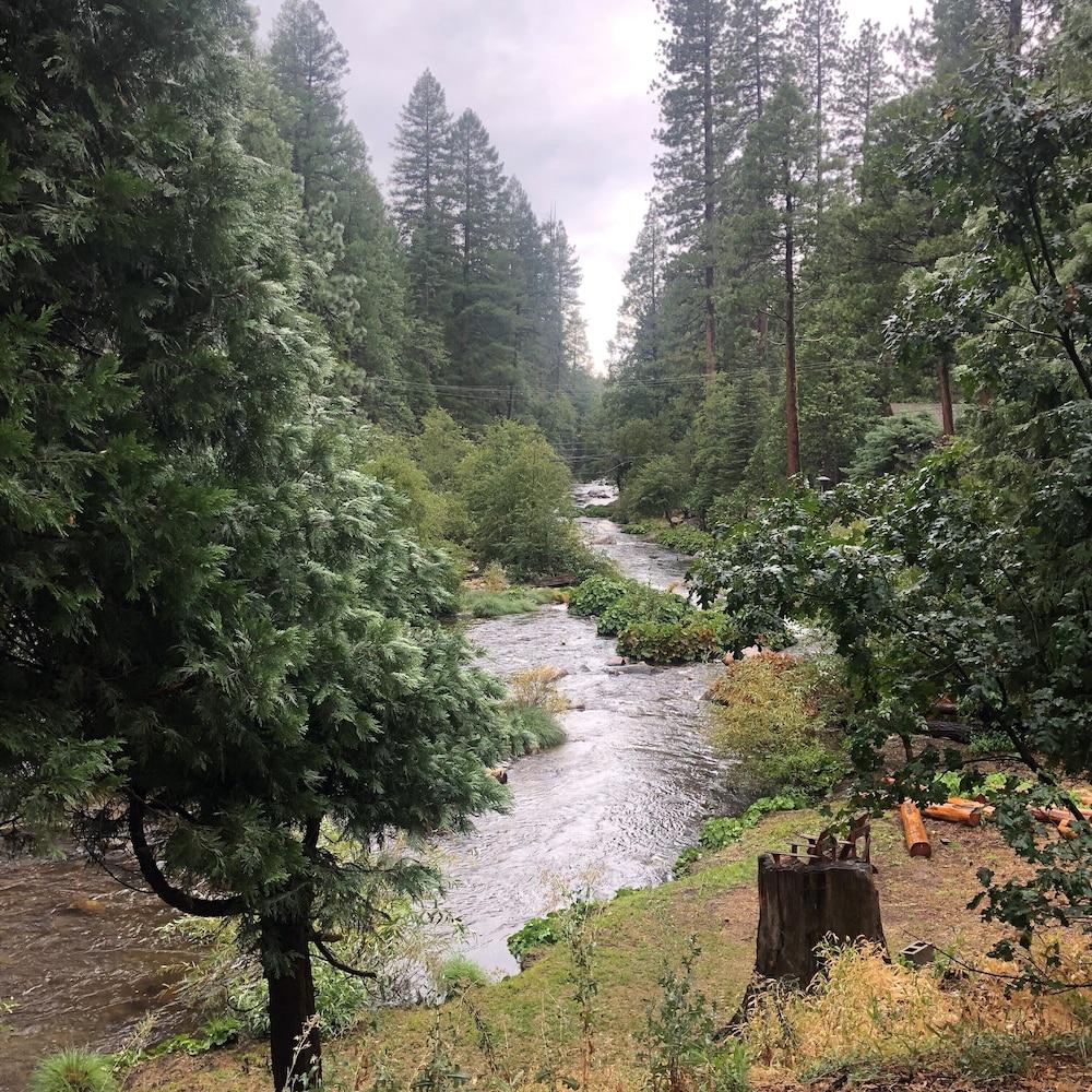 Sierra Inn on the River photo 14