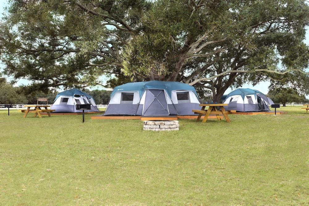 Westgate River Ranch Resort & Rodeo photo 33
