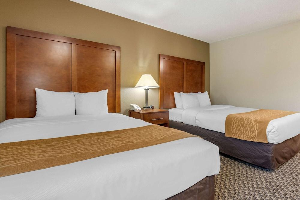 Comfort Inn Indianapolis South photo 10