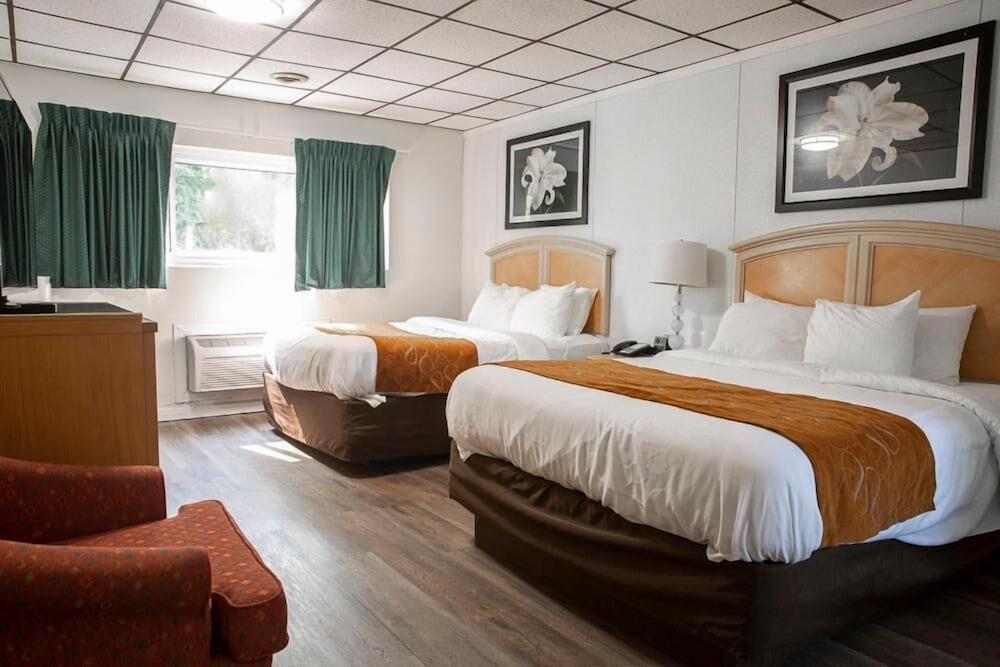 Bedford Motel photo 6