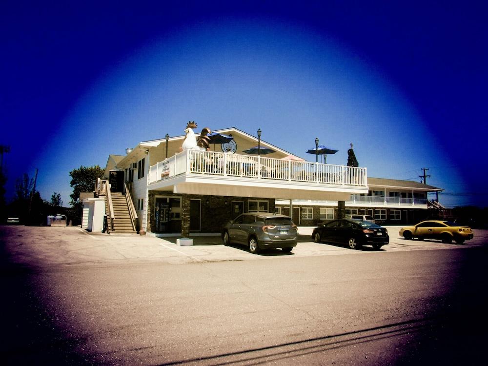 Brewer Motor Inn photo 15