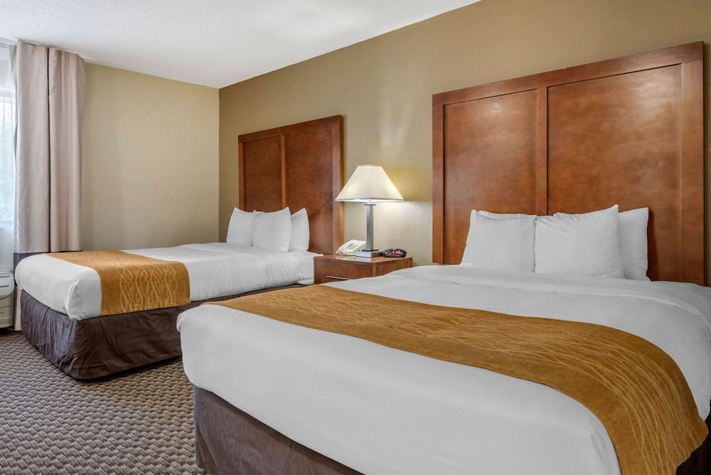 Comfort Inn Indianapolis South photo 32