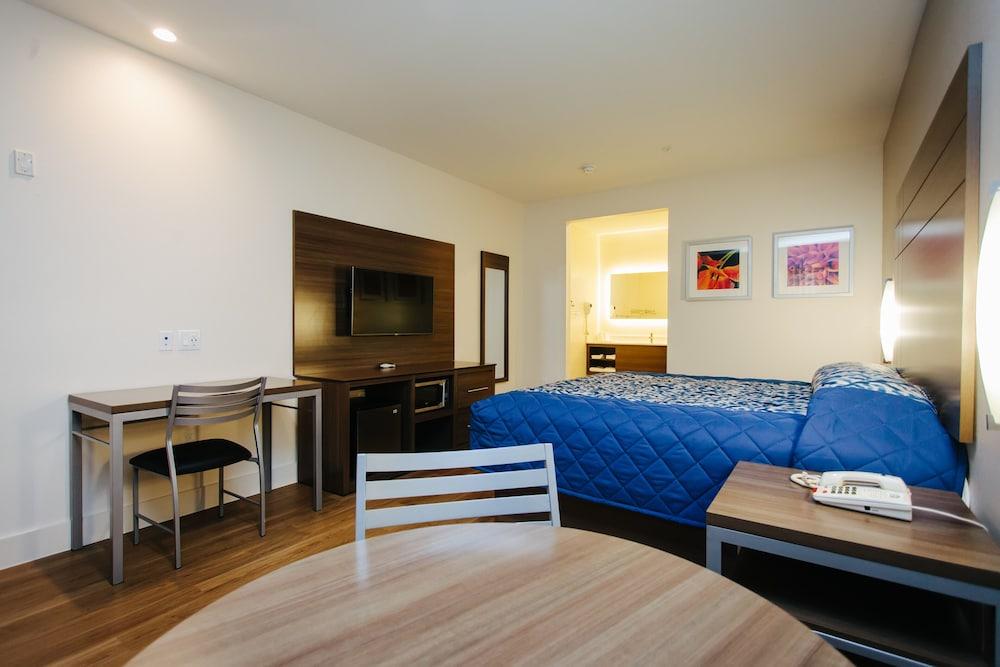 Palace Inn City Center photo 6