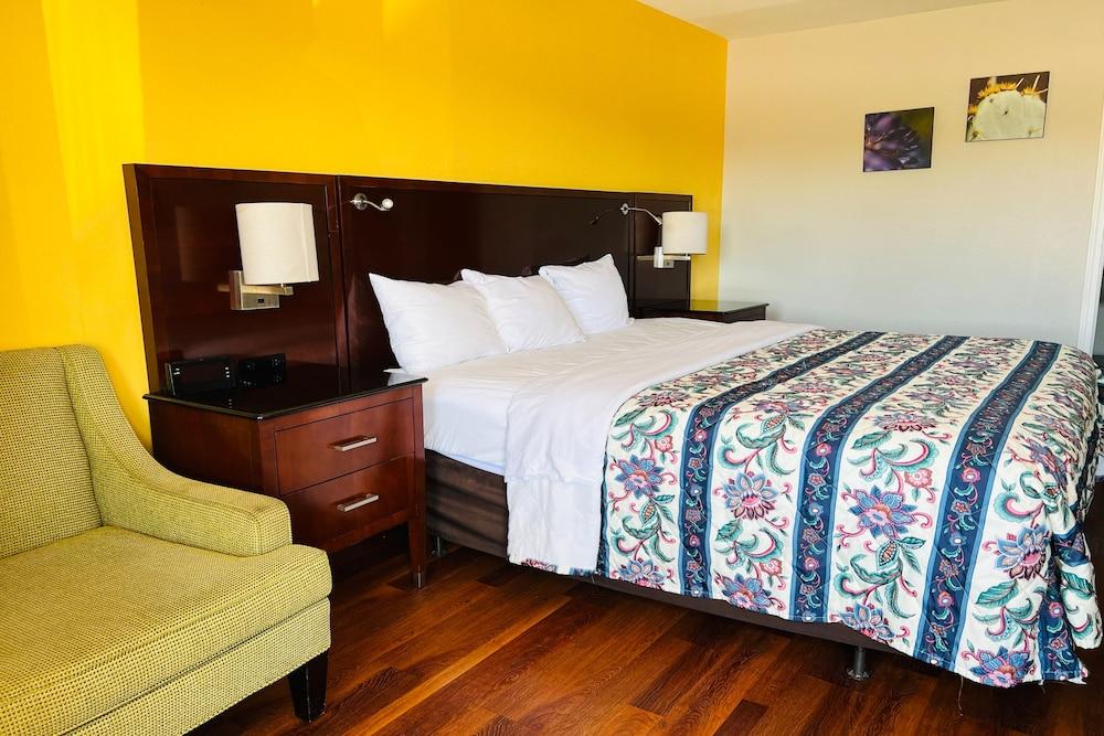 Cambridge Inn photo 6