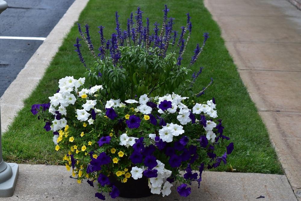 Best Western of Harbor Springs photo 45