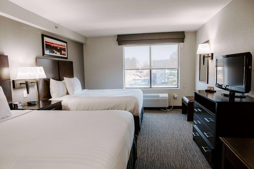 Wingate by Wyndham Chantilly / Dulles Airport photo 23