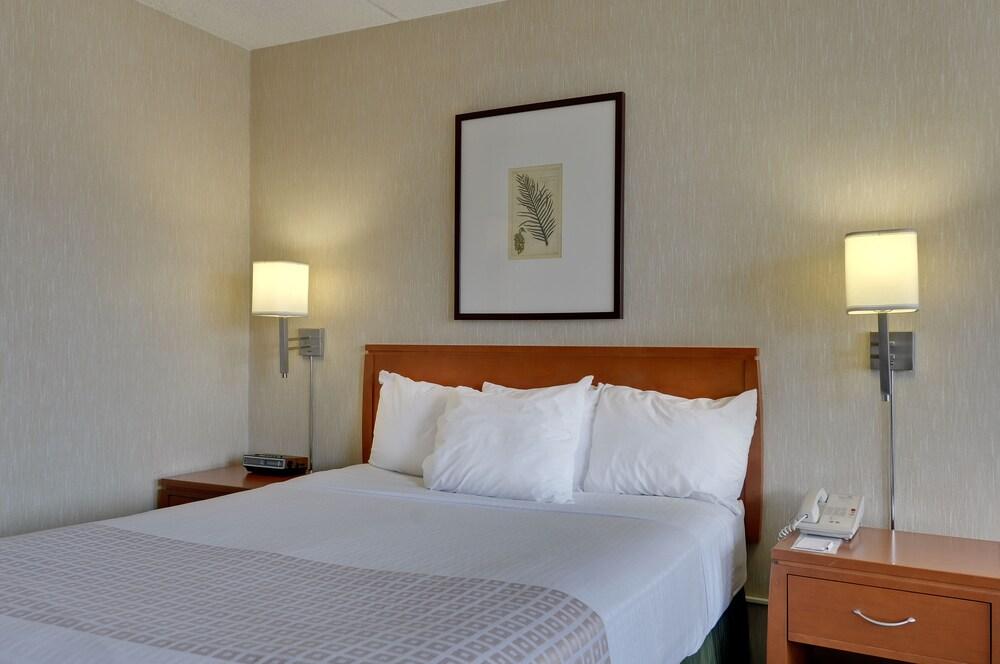 Vagabond Inn Executive Old Town photo 3